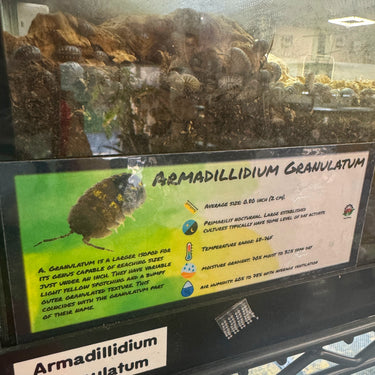 Armadillidium Granulatum Isopod Bin Label